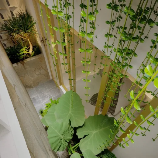 signed gieng troi mau nha pho 3 tang an tuong nam 2026 1